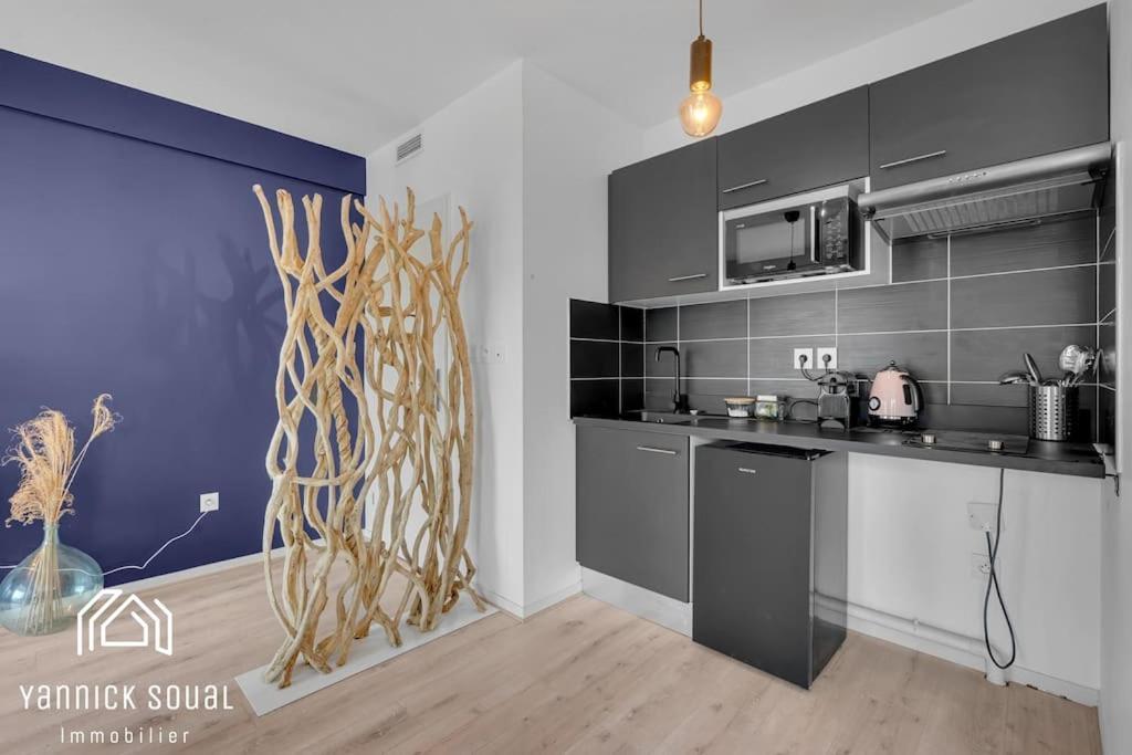 L'Ormeau Flamingo Appartement Toulouse Buitenkant foto